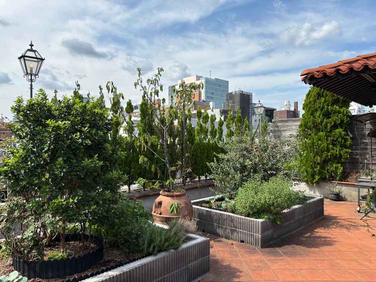 披露宴会場の屋上。ここでバルーンを飛ばしたり、乾杯をすることもあるそうです。