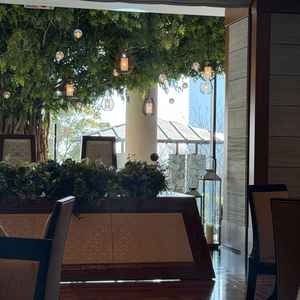 披露宴会場の中に本物の木があり驚きました。会場内もガーデンテイストで落ち着いた雰囲気でした。