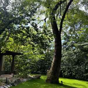 挙式できるところ。1階の会場から出られる仕様になってました。