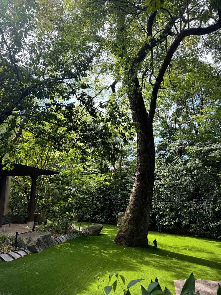 挙式できるところ。1階の会場から出られる仕様になってました。