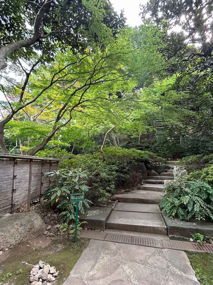 チャペル前、杜の小径の写真。石畳と緑が印象的で、都会なのに庭園を思わせる素敵な雰囲気でした。