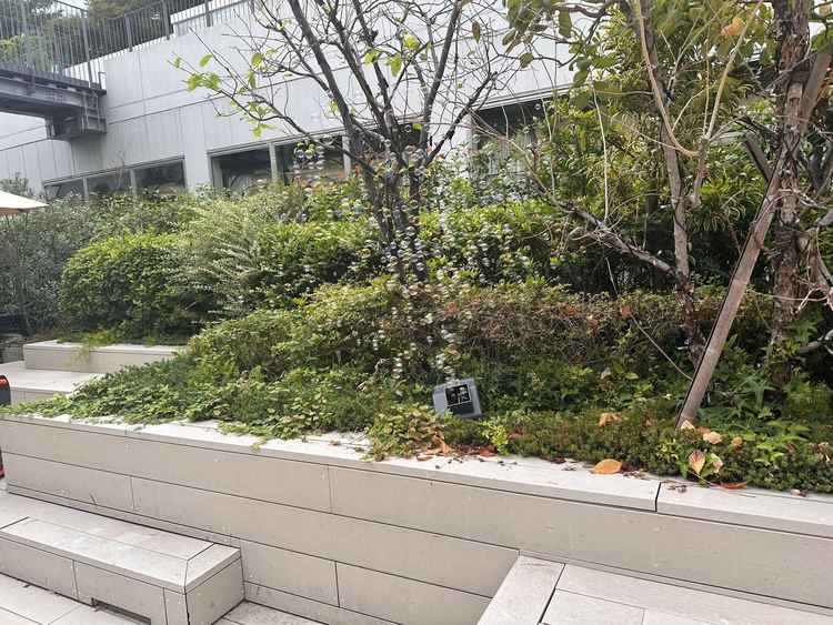 テラスではシャボン玉などの演出も可能。デザートやお酒を置いたり、高砂を置いたり、使い方は自由。