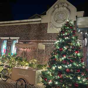 夕方からはイルミネーションが綺麗なガーデン。一面のイルミネーションで非現実的な雰囲気を味わえる。