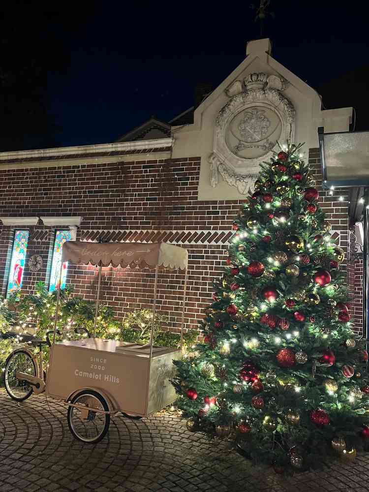 夕方からはイルミネーションが綺麗なガーデン。一面のイルミネーションで非現実的な雰囲気を味わえる。