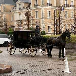 馬の馬車に乗るのは面白くて新鮮に感じました。
