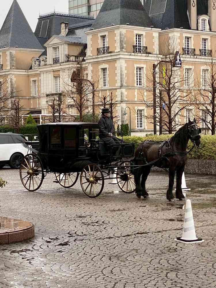 馬の馬車に乗るのは面白くて新鮮に感じました。