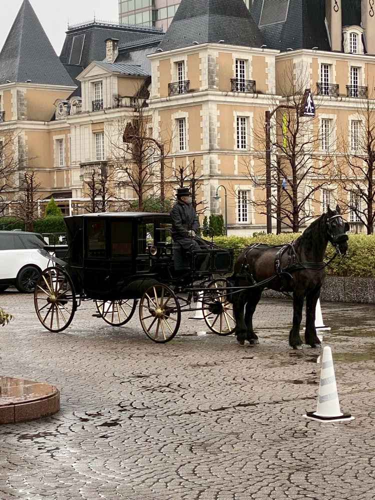 馬の馬車に乗るのは面白くて新鮮に感じました。