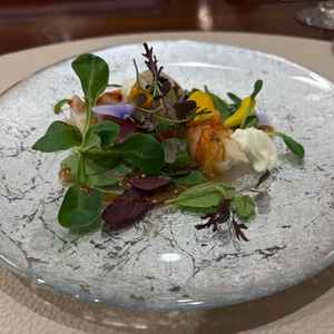 試食の前菜。伊勢海老やマグロなど美味しかった。