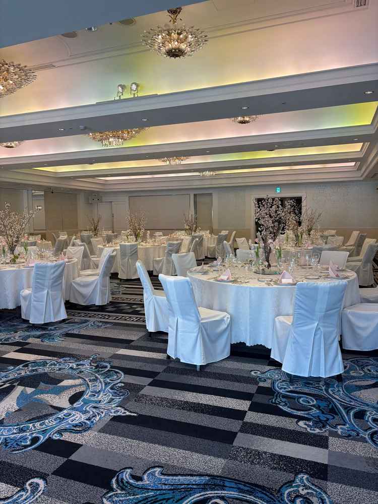 翠鳳の間。太陽の光が差し込んできて、部屋がとても明るく素敵でした。