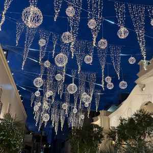 夜のライトアップが素敵だった。フラワーシャワー時に感動しそう。