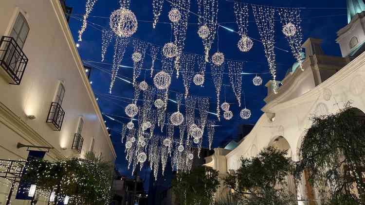 夜のライトアップが素敵だった。フラワーシャワー時に感動しそう。