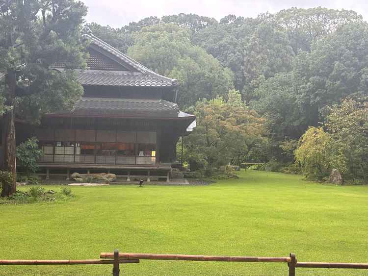あいにくの雨でしたが、和の建物と庭園が優しく迎えてくれました。