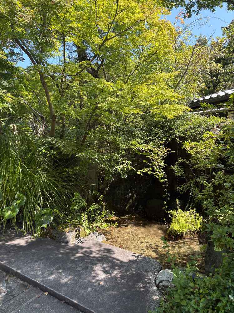 この庭園を抜け、チャペルから披露宴会場へ向かう。四季折々の風景が楽しめ、鯉が泳いでいた。