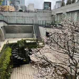 ユーザーが投稿した画像3をもっと見る