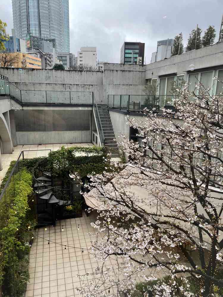 ユーザーが投稿した画像3