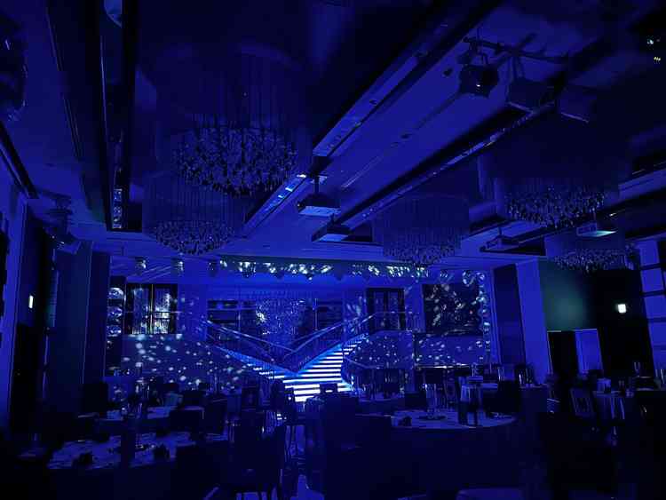 大きな階段を使った演出が印象的で、入場シーンがとても華やかになりそうだと感じました。