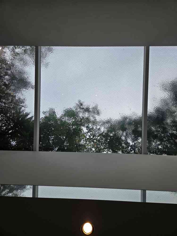 ガラス張りの天井。雨がポタポタしてるのもかわいい。