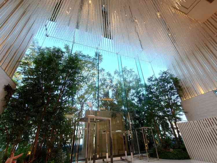 ユーザーが投稿した画像1