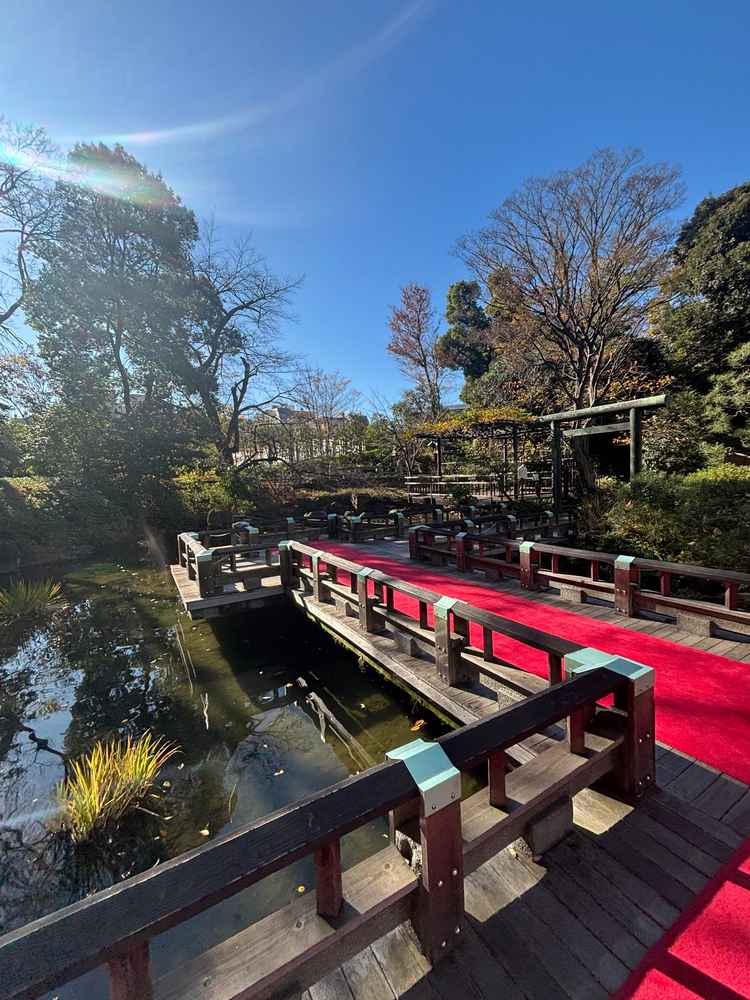 庭園も見学させていただきました