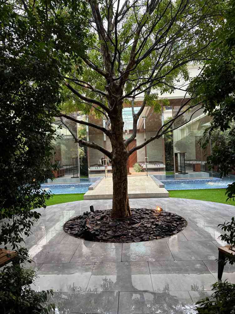 チャペルや披露宴会場からアクセスできるガーデンはとても魅力的。木に色々飾れていい思い出ができそうです