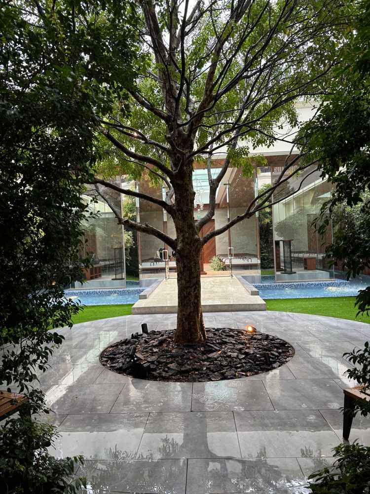 チャペルや披露宴会場からアクセスできるガーデンはとても魅力的。木に色々飾れていい思い出ができそうです