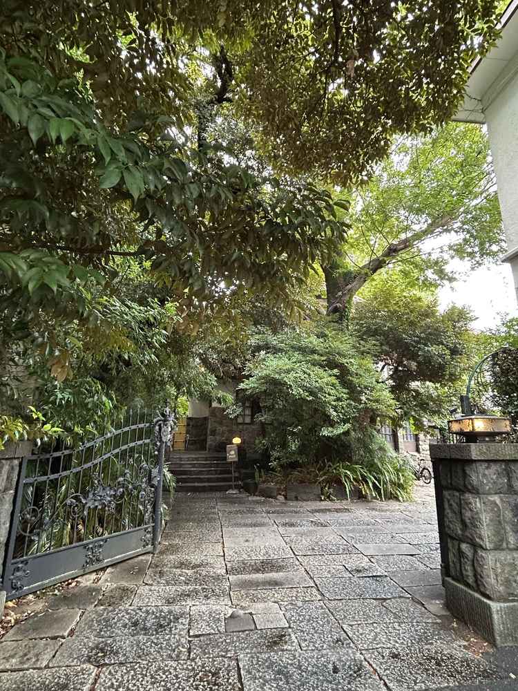 入り口です。大きな欅が出迎えてくれます。