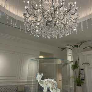 入り口がキラキラしててテンション上がりました！