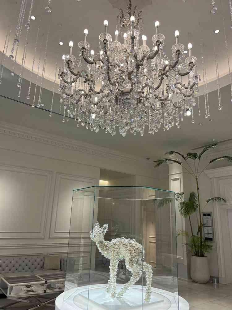 入り口がキラキラしててテンション上がりました！