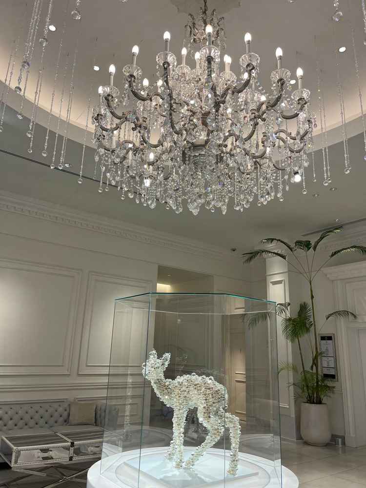 入り口がキラキラしててテンション上がりました！