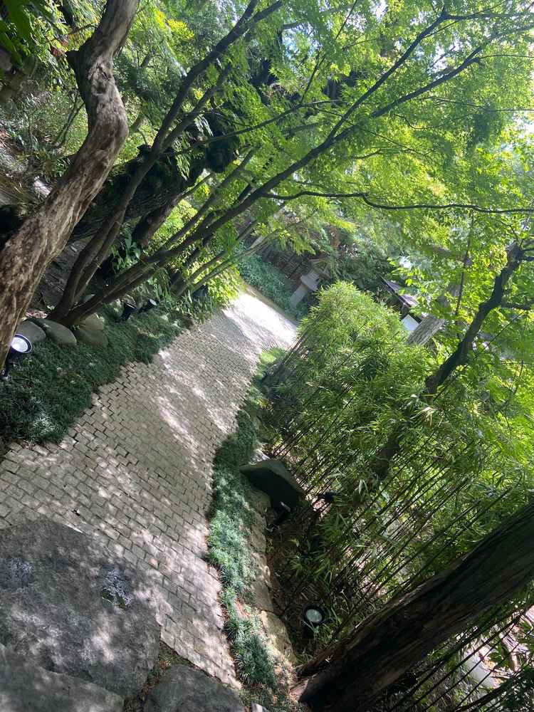 チャペルまでの道のり。緑に囲まれていて、自然を感じられる。冬だとまた雰囲気変わると思うので楽しみ！