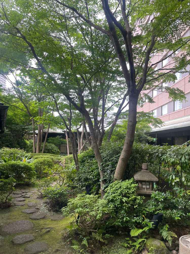 五階に庭園があり、和装での前撮りで使用できることがよかったです。写真時には鯉に餌をあげるそうです。