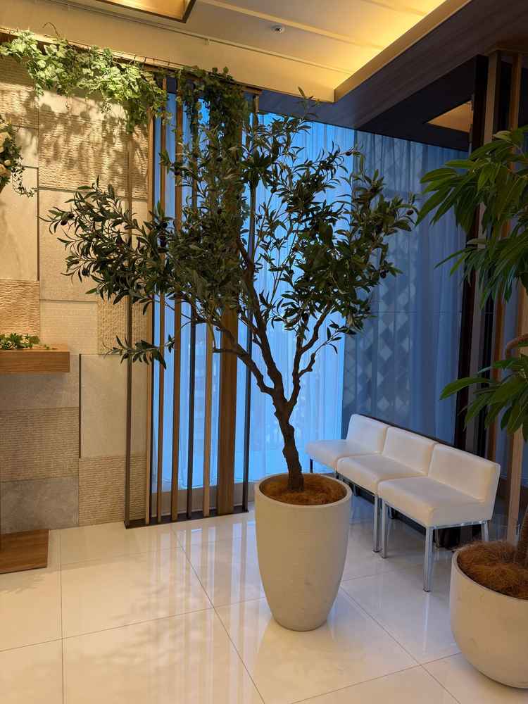 オリーブの木があり、子孫繁栄を願っているそうです。