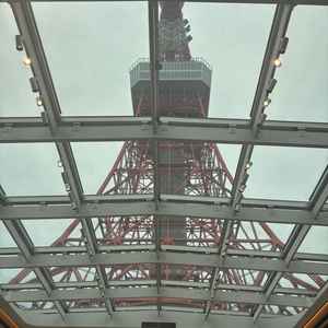 ユーザーが投稿した画像3