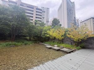 広く立派な庭園。飛び石を渡ってのサプライズ入場ができる。