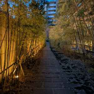野外に竹に挟まれた小道があり、夜でも綺麗でした。
