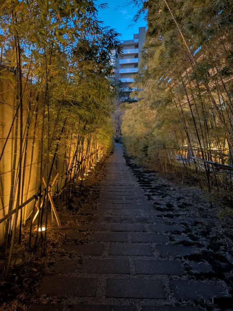 野外に竹に挟まれた小道があり、夜でも綺麗でした。