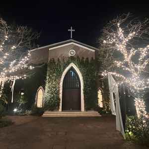 日没後はライトアップが綺麗でした