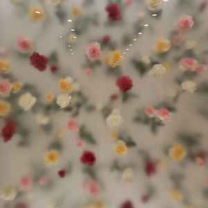 チャペルの行く前の道が全て埋めつくされていて、写真映えもできそうなとこでした！