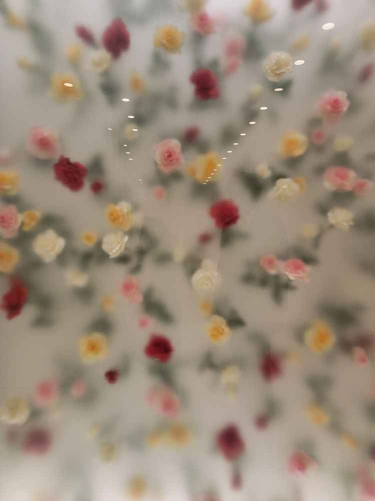 チャペルの行く前の道が全て埋めつくされていて、写真映えもできそうなとこでした！