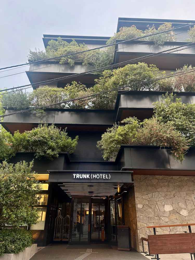 木の温もりと緑が調和したモダンな外観