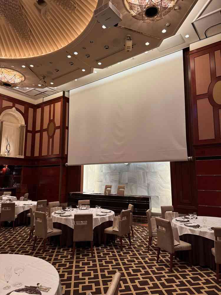 巨大なスクリーンを備えており、演出の幅が広がりそうだと感じました。