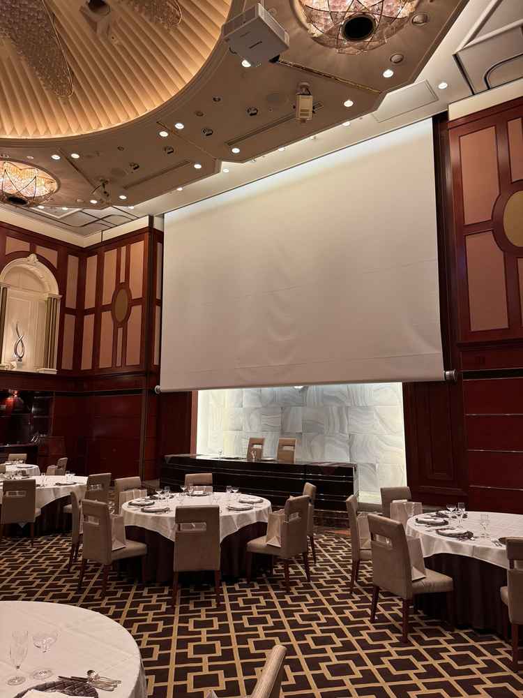 巨大なスクリーンを備えており、演出の幅が広がりそうだと感じました。