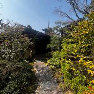 中庭からの景観