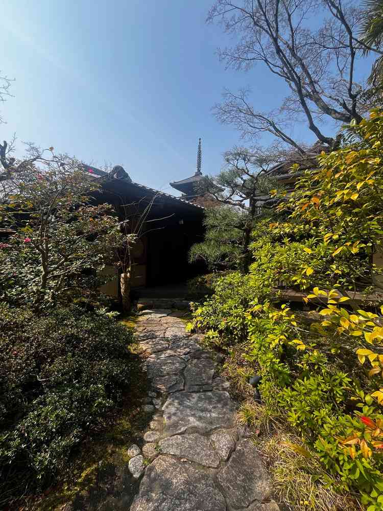 中庭からの景観