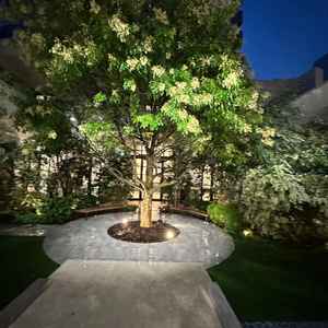 チャペルの横 ここでゲストがお酒を飲んだりできるそうです