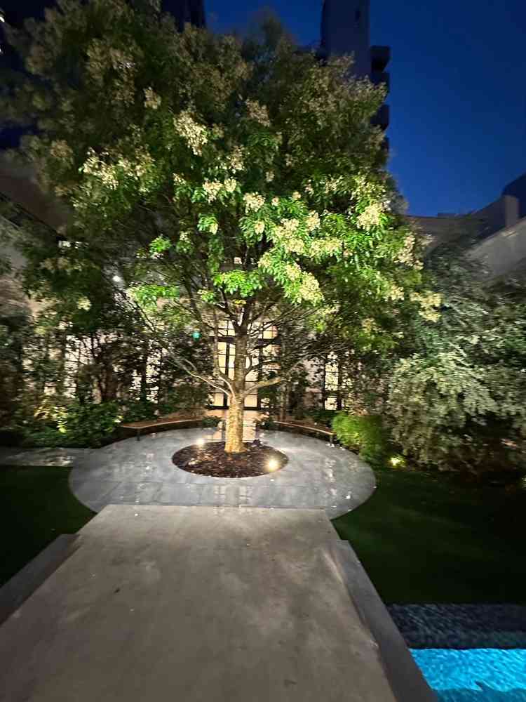 チャペルの横 ここでゲストがお酒を飲んだりできるそうです