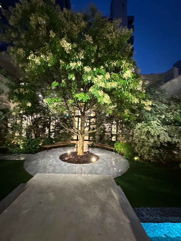 チャペルの横 ここでゲストがお酒を飲んだりできるそうです