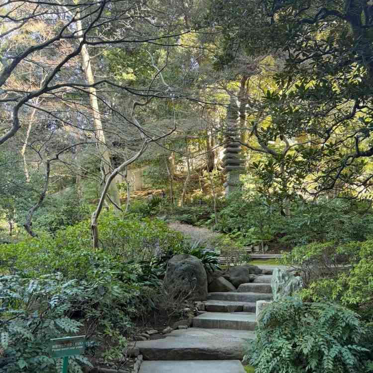 外の庭園がとても綺麗でした。