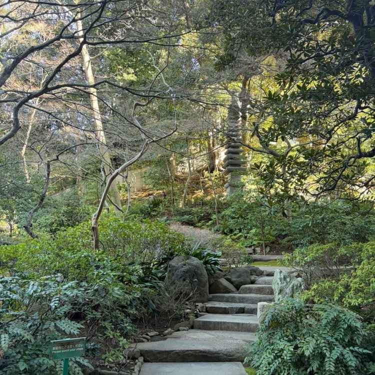 外の庭園がとても綺麗でした。