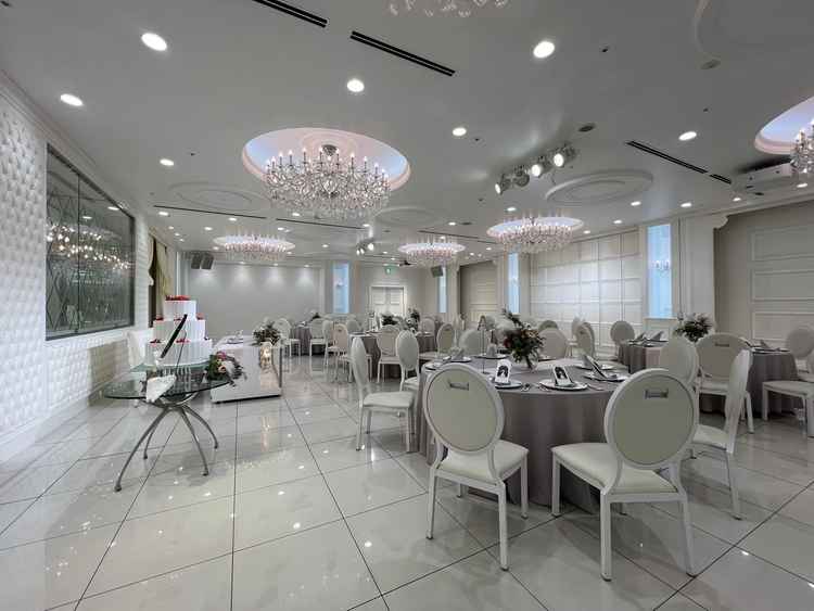 純白な会場、セレナーデ